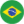 PT Flag